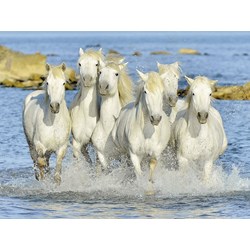 Ravensburger (16285) - "Sparkling Refreshment" - 1500 piezas