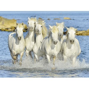 Ravensburger (16285) - "Sparkling Refreshment" - 1500 piezas