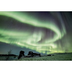 Educa (16308) - "Winter Paradise" - 1500 piezas