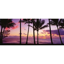 Schmidt Spiele (59366) - Mark Gray: "Palm Cove, Queensland, Australia" - 136 piezas