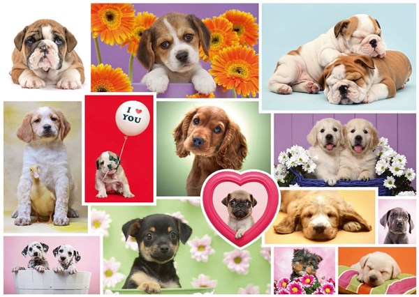 Schmidt Spiele (58231) - "Friends on four paws" - 1000 piezas