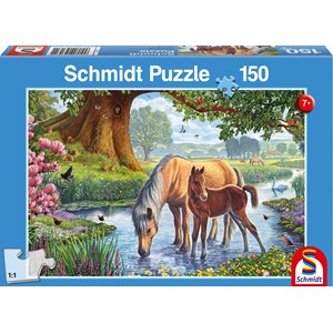 Schmidt Spiele (56161) - "Horses" - 150 piezas