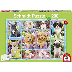 Schmidt Spiele (56162) - "Puppies" - 200 piezas