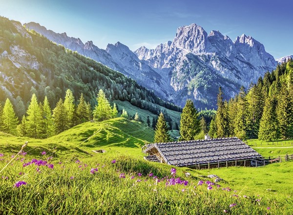 Ravensburger (13646) - "Mountain Meadow" - 300 piezas