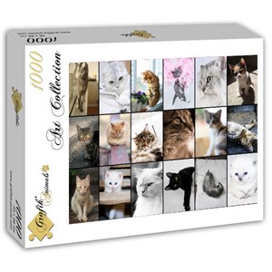 Grafika (T-00100) - "Collage, Cats" - 1000 piezas
