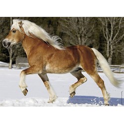 Nathan (86733) - "Horse" - 100 piezas