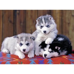 Ravensburger (12823) - "Huskies" - 200 piezas