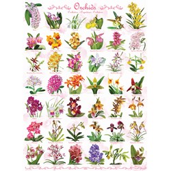 Eurographics (6000-0655) - "Orchids" - 1000 piezas