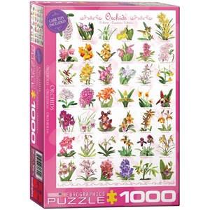 Eurographics (6000-0655) - "Orchids" - 1000 piezas