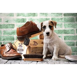 Tactic (53339) - "The Little Shoe-Shine" - 500 piezas