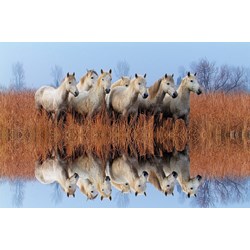 Tactic (53340) - "Horses" - 500 piezas