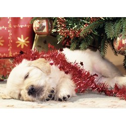Ravensburger (07546) - "Christmas Puppy" - 80 piezas