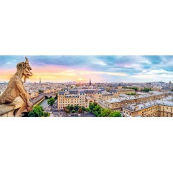 Trefl (29029) - "View from the Cathedral of Notre-Dame de Paris" - 1000 piezas