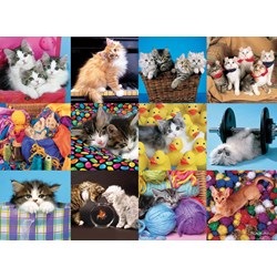 Ravensburger (13197) - "Cats Collage" - 300 piezas