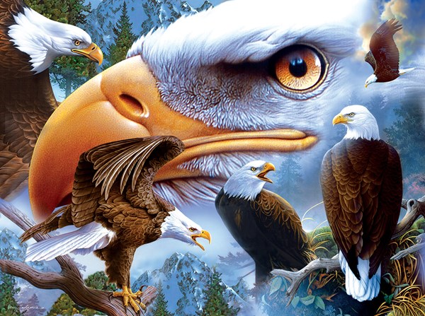 SunsOut (18943) - Jerry Gadamus: "Bold and Beautiful" - 1000 piezas