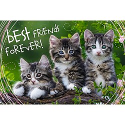 Trefl (13215) - "Best Friends Forever" - 260 piezas