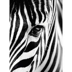 Ravensburger (14735) - "Zebra" - 500 piezas