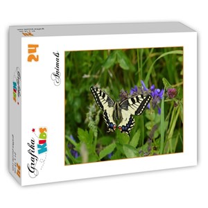 Grafika Kids (01224) - "Butterfly" - 24 piezas