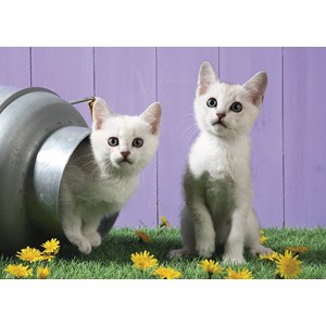 Schmidt Spiele (57361) - "Cat Sisters" - 500 piezas