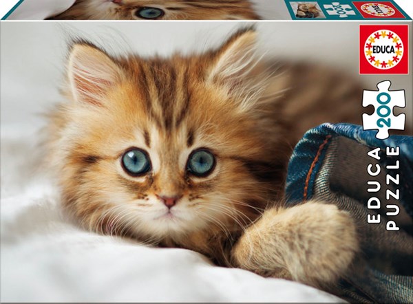 Educa (17154) - "Kitten" - 200 piezas