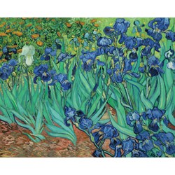 Pomegranate (AA331) - Vincent van Gogh: "Irises" - 1000 piezas