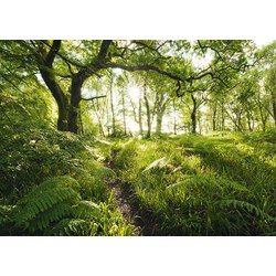 Schmidt Spiele (59382) - Stefan Hefele: "The Enchanted Path" - 1000 piezas