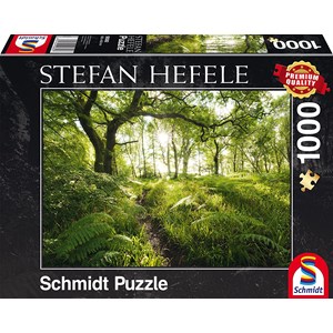 Schmidt Spiele (59382) - Stefan Hefele: "The Enchanted Path" - 1000 piezas