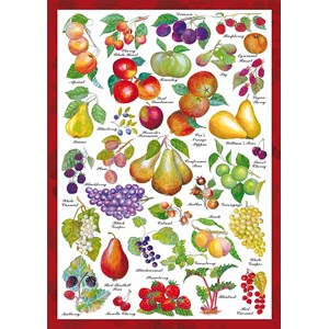 Schmidt Spiele (59569) - "Countryside Art" - 1000 piezas