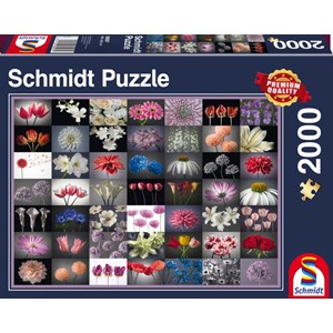 Schmidt Spiele (58297) - "Flower Greeting" - 2000 piezas