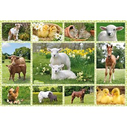 Schmidt Spiele (56194) - "Babies Animals of the Farm" - 100 piezas