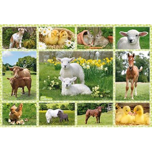 Schmidt Spiele (56194) - "Babies Animals of the Farm" - 100 piezas