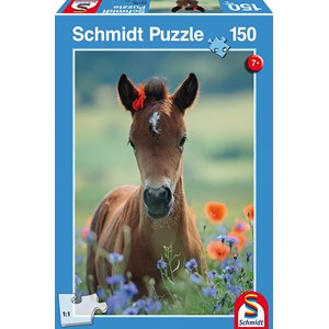 Schmidt Spiele (56196) - "My Dear Foal" - 150 piezas
