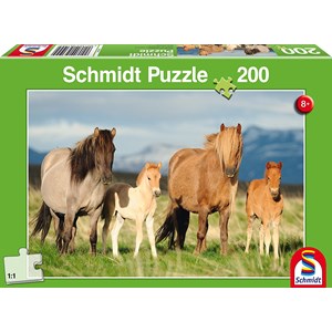 Schmidt Spiele (56199) - "Horse Family" - 200 piezas