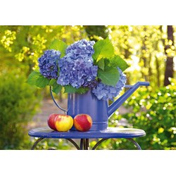 Schmidt Spiele (58283) - "Watering Can with Hydrangea" - 500 piezas