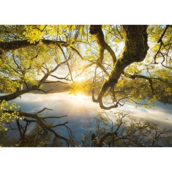 Schmidt Spiele (59383) - Stefan Hefele: "Embrace of Gold" - 1000 piezas