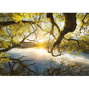 Schmidt Spiele (59383) - Stefan Hefele: "Embrace of Gold" - 1000 piezas