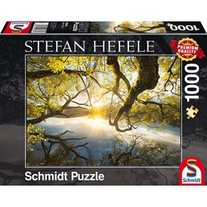 Schmidt Spiele (59383) - Stefan Hefele: "Embrace of Gold" - 1000 piezas