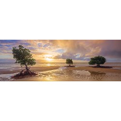 Schmidt Spiele (59394) - Mark Gray: "Cape Tribulation, Daintree national Park, Queensland, Australia" - 1000 piezas