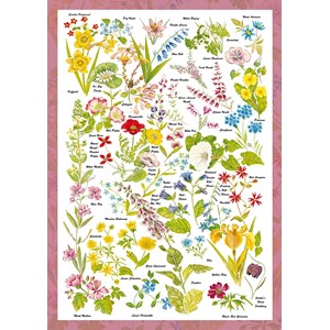 Schmidt Spiele (59566) - "Wild Flowers" - 1000 piezas