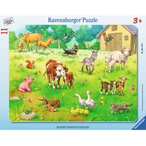 Ravensburger (06143) - "My Favorite Animals" - 11 piezas
