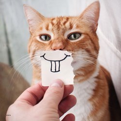 Ravensburger (08028) - "Funny Animal Portraits" - 49 piezas