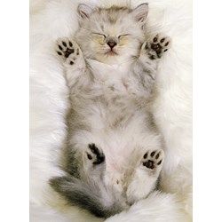 Ravensburger (13236) - "Kitten" - 300 piezas