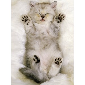 Ravensburger (13236) - "Kitten" - 300 piezas