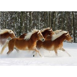 D-Toys (65933-HH04) - "Horses Magic, Haflinger IV" - 239 piezas