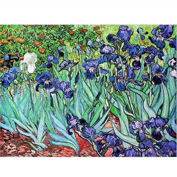 D-Toys (66916-VG03) - Vincent van Gogh: "Iris" - 1000 piezas