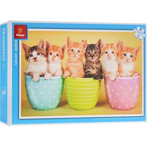 Pintoo (H1478) - "Cup cats" - 1000 piezas