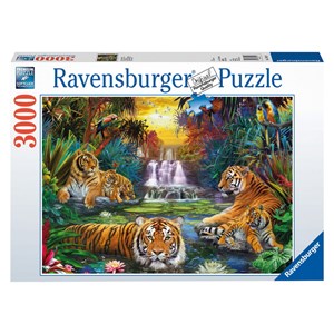 Ravensburger (170579) - "Tigers at the Waterhole" - 3000 piezas