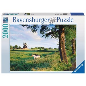 Ravensburger (16635) - "Horse From Wind Mill" - 2000 piezas