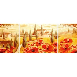 Ravensburger (19994) - "Poppies in Tuscany" - 1000 piezas