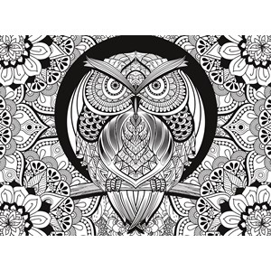 Clementoni (35050) - "Owl" - 500 piezas